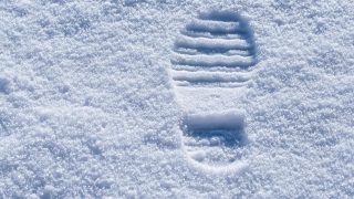 长相思古装虐恋剧封面——女主在雪中回眸，背景是宏大的古代宫殿
